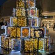 ヒメ日記 2025/11/11 09:01 投稿 かおる アバンチュール（難波）