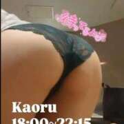 ヒメ日記 2025/11/13 15:01 投稿 かおる アバンチュール（難波）