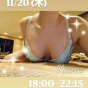 ヒメ日記 2025/11/20 14:46 投稿 かおる アバンチュール（難波）