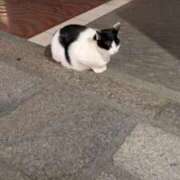 ヒメ日記 2025/11/29 09:01 投稿 かおる アバンチュール（難波）