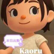 ヒメ日記 2026/01/15 14:39 投稿 かおる アバンチュール（難波）