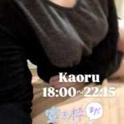 ヒメ日記 2026/01/29 14:36 投稿 かおる アバンチュール（難波）