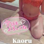 ヒメ日記 2026/02/25 14:37 投稿 かおる アバンチュール（難波）