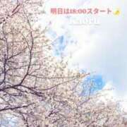 ヒメ日記 2026/03/14 16:57 投稿 かおる アバンチュール（難波）