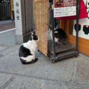 ヒメ日記 2026/03/19 11:15 投稿 かおる アバンチュール（難波）