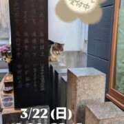 ヒメ日記 2026/03/21 16:33 投稿 かおる アバンチュール（難波）