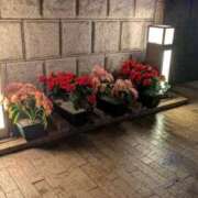 ヒメ日記 2026/03/26 11:15 投稿 かおる アバンチュール（難波）