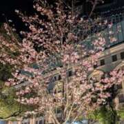 ヒメ日記 2026/03/29 11:15 投稿 かおる アバンチュール（難波）