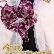 ヒメ日記 2026/04/13 14:30 投稿 かおる アバンチュール（難波）