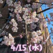 かおる 明日は【18:00~22:15】🕕️✨ アバンチュール（難波）