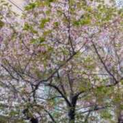 かおる 葉桜🌿 アバンチュール（難波）