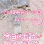 ヒメ日記 2026/04/16 15:05 投稿 かおる アバンチュール（難波）