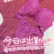 ヒメ日記 2026/04/20 14:20 投稿 かおる アバンチュール（難波）