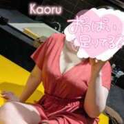 ヒメ日記 2026/08/12 18:03 投稿 かおる アバンチュール（難波）