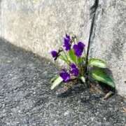 ヒメ日記 2026/04/02 11:12 投稿 りの 梅田ゴールデン倶楽部