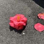 ヒメ日記 2026/04/05 10:52 投稿 りの 梅田ゴールデン倶楽部