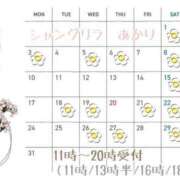 ヒメ日記 2025/03/02 07:45 投稿 あかり シャングリラ