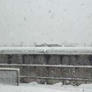 ヒメ日記 2026/03/25 11:45 投稿 あかり シャングリラ