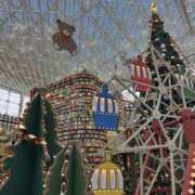 ヒメ日記 2025/12/23 22:15 投稿 美古都 AROMA TIGER（アロマタイガー）