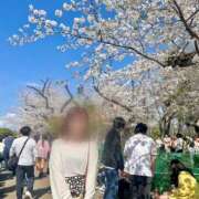 ヒメ日記 2025/03/29 22:48 投稿 まつり バイオレンス