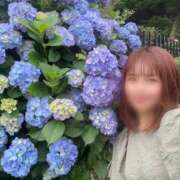 ヒメ日記 2025/06/03 12:35 投稿 まつり バイオレンス