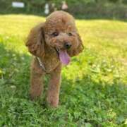 ヒメ日記 2025/10/16 17:45 投稿 まつり バイオレンス