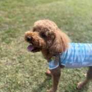 ヒメ日記 2025/11/02 08:06 投稿 まつり バイオレンス