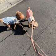 まつり 🫨 バイオレンス