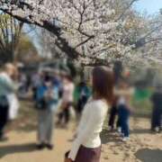 ヒメ日記 2026/03/31 07:25 投稿 まつり バイオレンス