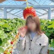 ヒメ日記 2026/04/21 20:35 投稿 まつり バイオレンス