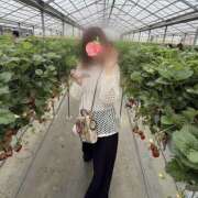 ヒメ日記 2026/04/30 17:27 投稿 まつり バイオレンス