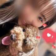 ヒメ日記 2026/08/18 08:55 投稿 まつり バイオレンス