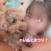 ヒメ日記 2026/09/15 08:15 投稿 まつり バイオレンス