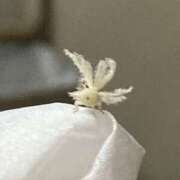 ヒメ日記 2025/07/12 21:26 投稿 赤井志穂 五十路マダム 愛されたい熟女たち 高松店