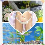 ヒメ日記 2025/06/12 17:38 投稿 岩下裕実（いわしたひろみ） 五十路マダム 滋賀店(カサブランカグループ)