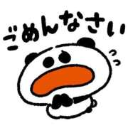ヒメ日記 2026/03/08 06:16 投稿 酒井ナース 病院
