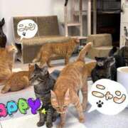 ヒメ日記 2025/10/27 13:08 投稿 はる クラブ貴公子