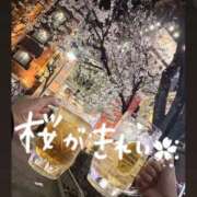 ヒメ日記 2026/04/07 13:38 投稿 はる クラブ貴公子