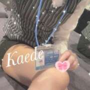 ヒメ日記 2025/01/16 07:45 投稿 及川　かえで OLセレクション宇都宮店