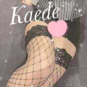 ヒメ日記 2025/01/19 01:15 投稿 及川　かえで OLセレクション宇都宮店