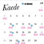 ヒメ日記 2025/01/31 19:42 投稿 及川　かえで OLセレクション宇都宮店