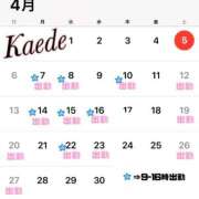 ヒメ日記 2025/04/05 19:11 投稿 及川　かえで OLセレクション宇都宮店