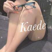 ヒメ日記 2025/04/08 16:11 投稿 及川　かえで OLセレクション宇都宮店