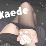 ヒメ日記 2025/04/10 07:45 投稿 及川　かえで OLセレクション宇都宮店