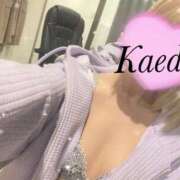 ヒメ日記 2025/04/12 07:45 投稿 及川　かえで OLセレクション宇都宮店