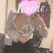 ヒメ日記 2025/04/16 07:45 投稿 及川　かえで OLセレクション宇都宮店