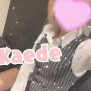 ヒメ日記 2025/06/12 07:45 投稿 及川　かえで OLセレクション宇都宮店