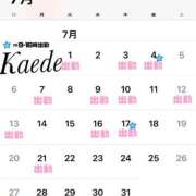 ヒメ日記 2025/06/30 18:14 投稿 及川　かえで OLセレクション宇都宮店