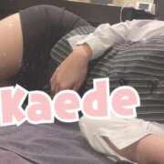 ヒメ日記 2025/07/10 07:45 投稿 及川　かえで OLセレクション宇都宮店