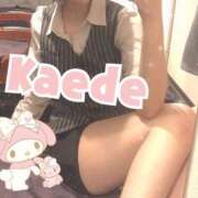 ヒメ日記 2025/07/11 03:00 投稿 及川　かえで OLセレクション宇都宮店